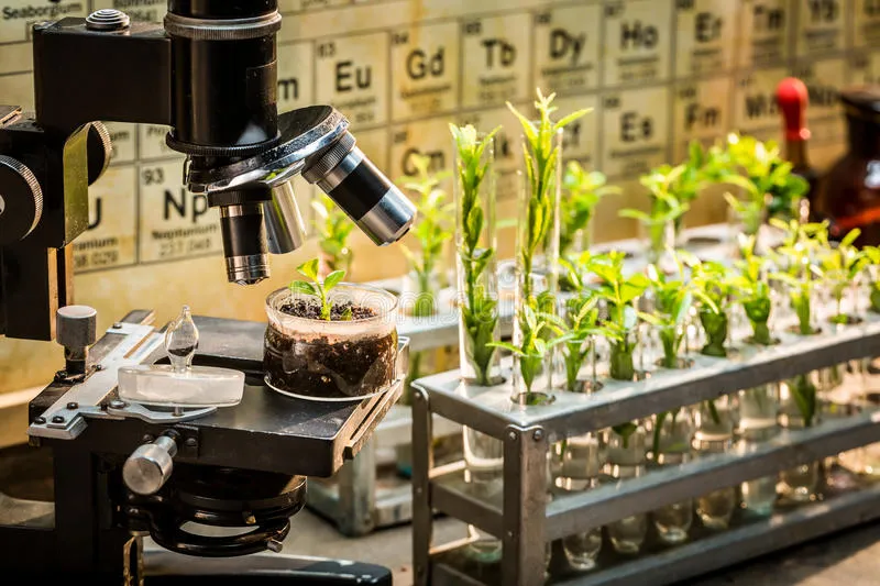 Microscope and young plants in an agricultural science laboratory