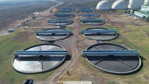 Water Treatment Breakthroughs Driving Sustainable Food Factories